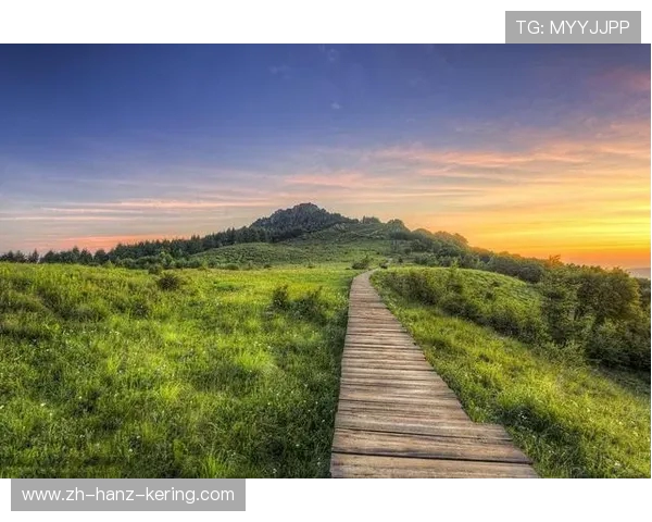 杨静亲授攀岩技巧与心得体会助你轻松征服高峰